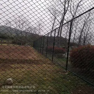 鹏隆球场围栏 羽毛球场围网 体育场勾花网