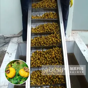 刺梨汁饮料加工设备 刺梨原汁设备 刺梨NFC果汁加工 刺梨深加工