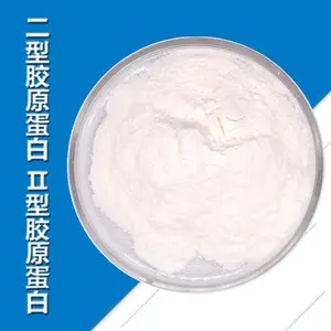 二型胶原蛋白厂家