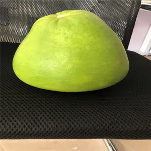 漳州正版红宝石青柚苗 两年无籽红宝石蜜柚苗原产地