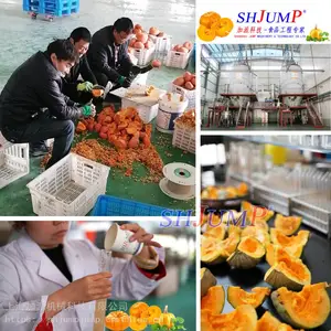 南瓜粉南瓜酱整线产品设供应 板栗南瓜酱 贝贝南瓜深加工方案