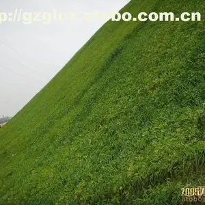 绿化资材保水剂作用