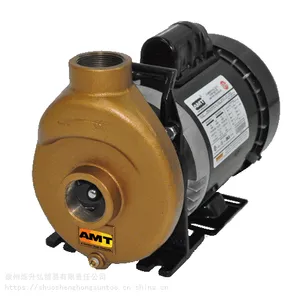 ԭװ����AMT�迣��Pump3168-95�ֿ�ֱ��