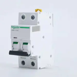 ʩ�͵�С�Ͷ�·��IC65N 2P D6A �������� A9ϵ��