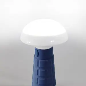 �๦�ܷ����SW2170�������ʽ�����ⷺ�⾯ʾ���Ģ��ͷ�ֳ��е�