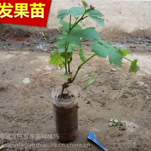 ��Ӧ���ھ޷��������ͺ��޽���������ȫ������ ���ٹ���������Ե�����Ʒ����������
