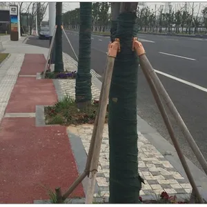 ԰�ִ���������-��ľ������-������-����