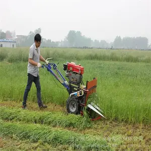 ���Ƹ���� ũ�ò����ո�� С���i���ݸ�ɹ��