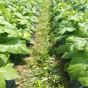 果园松土机 背负式除草松土机 菜园翻土机