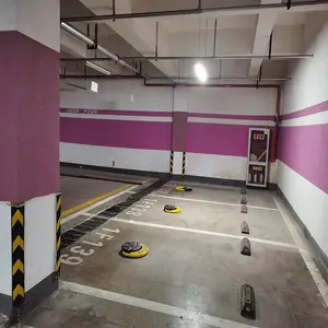 ����ͣ�������˫������� �ٳ�ͣ��������д��ʩ��