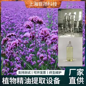 马鞭草生产型植物精油水汽蒸馏萃取提取设备 全新定制设备