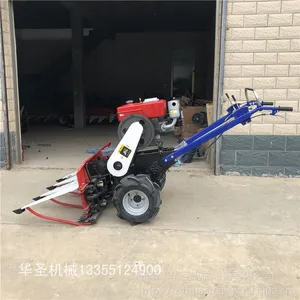 ��ޣ��С���ո�� ���������ɹ��