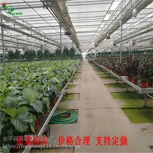 经营生产移动苗床-安平汉明温室苗床强烈推荐