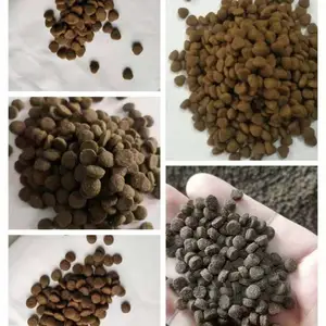������ʳOEM���� ��ͷ���� ���ȳ����� ���ɴ��� ����è������