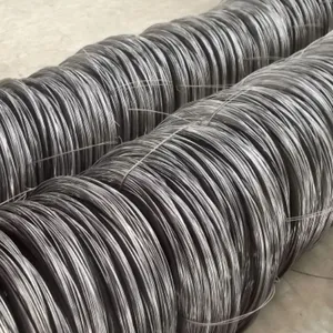 ��˿����������˿��ѧ���ܼ��