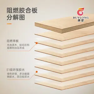 颉龙牌阻燃B1级阻燃胶合板环保E0多层板夹板 防火桉木板全桦木板