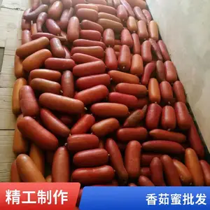 特色药食果蔬种植基 香茹蜜种子