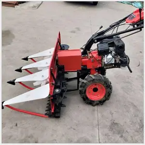 �๦�����������ո�� ���������ʽ���͸�ɹ�� һ�������ջ��