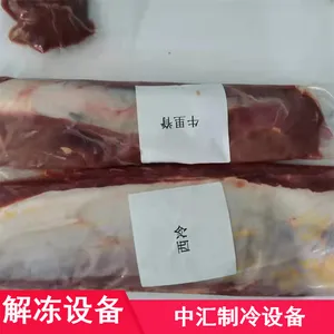 ��Ӧˮ��΢���ⶳ�豸 ����ʽ����ɱ����е ����΢���ⶳ�����豸