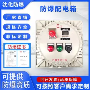 防爆配电箱 定制一路一表电伴热仪表温控箱 照明动力电源插座柜