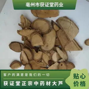 ��֤��������ҩ�Ĵ�« ����ҩ���廨Ѫ�� ԭ����Բ����������