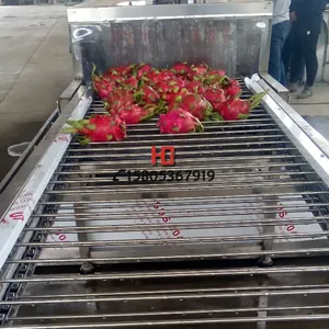 专业生产山东华钢牌火龙果清洗风干全套流水线包技术安装调试