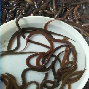 �����е�ˮ������������ ����ʽ������ֳ���ػ����� ����ˮ����Ӧ