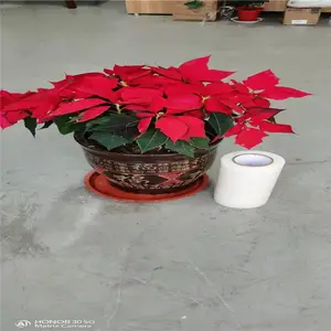 PE����Ĥ ����ְ屣��Ĥ��ҵ͸��PE��ճ����Ĥ ��˺������Ĥ