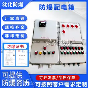 来图定制防爆照明动力配电箱 IP65检修电源插座箱 阀门电源控制箱