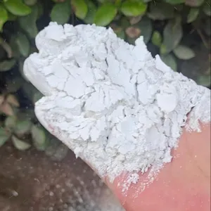 氢氧化钙(灰钙粉)白度和钙含量90%以上(鹭鸶鸟牌)