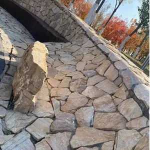 �ӱ���ǽʯ ����ɫƬʯ��ǽʯ ����ëʯ��ǽʯ