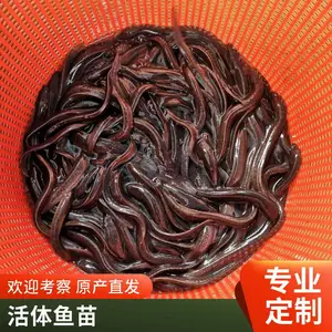 �����糧�ҹ�Ӧ �������� ˮ�������ֳ�������������