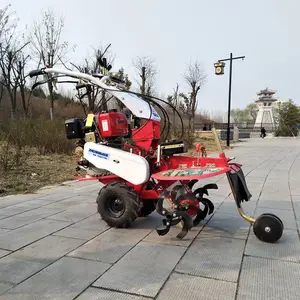 ����ɽ�ض๦�ܹ������߲˹�԰��������������ɽ���ַ�ʽ������