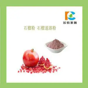 石榴果粉 番石榴粉 固体饮料原料 红石榴粉