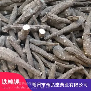 ����������õ����ҩ�İ˰ٰ�_ζ��˰ٰ���Ӧ