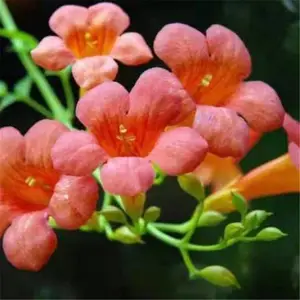 ֱ������������ �������� ������۸� 1���������� ���������Ǯһ��