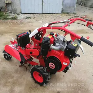 186��������ʽ������ ��԰������¢�� ҩ�������� ����ǰ�������� �������ٻ�