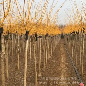�ƽ�������� 3����4����5����6���ֻƽ𻱼۸�