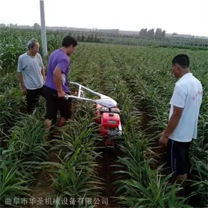 ΢�;²˿����� ������¢�� ��ݮ�󽪿���������