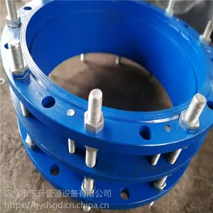 巩义东升生产定做C2F型 DN300 PN10双法兰传力接头
