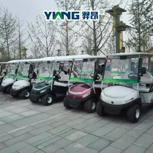 青岛羿昂 2座高尔夫电动球车 景区代步车 高尔夫球场车