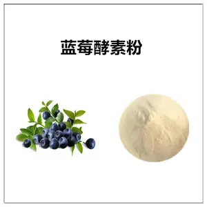 沃特莱斯生物 蓝莓酵素粉 速溶粉 食品级原料 喷雾干燥