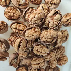 新疆185纸皮核桃 壳薄如纸 手捏即碎,可商检可出口 核桃生产加工厂