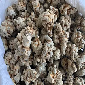 ���ߡ����ߡ����ߡ������ߡ����������� ���߼۸��Ż�