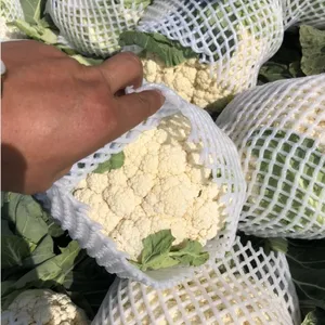 兰州网套蔬菜网套菜花网套泡沫网套甘蓝网套甘兰包菜网套139,19031250