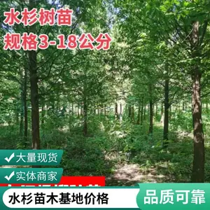 ��Ӧ10-18����ˮɼ�� ��Ķ԰��ˮɼ��ľ �����̻���ֲ��