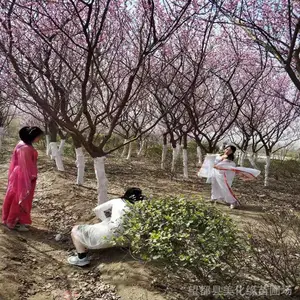 �ӱ��������ػ������� ��Ӧ��ǿ����ޱ�� �����պ졢��������