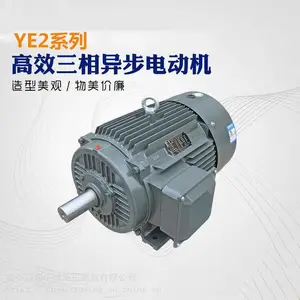 YE2-225S-4 37KW B3 ��������С�͵��