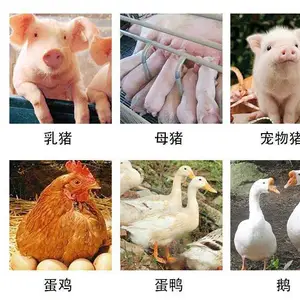 ����̩����� ����Ӫ���䷽���,ˮ����ֳ�������Ӽ�,̩�������