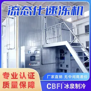高效节能流态化速冻机,专业速冻设备,食品冷冻***,冰泉制造